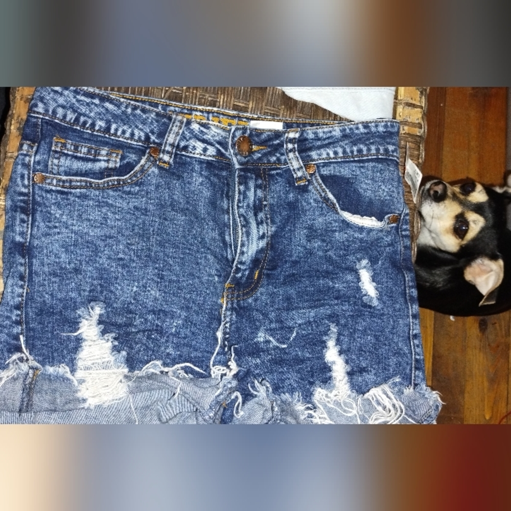Vip distressed HW shorts